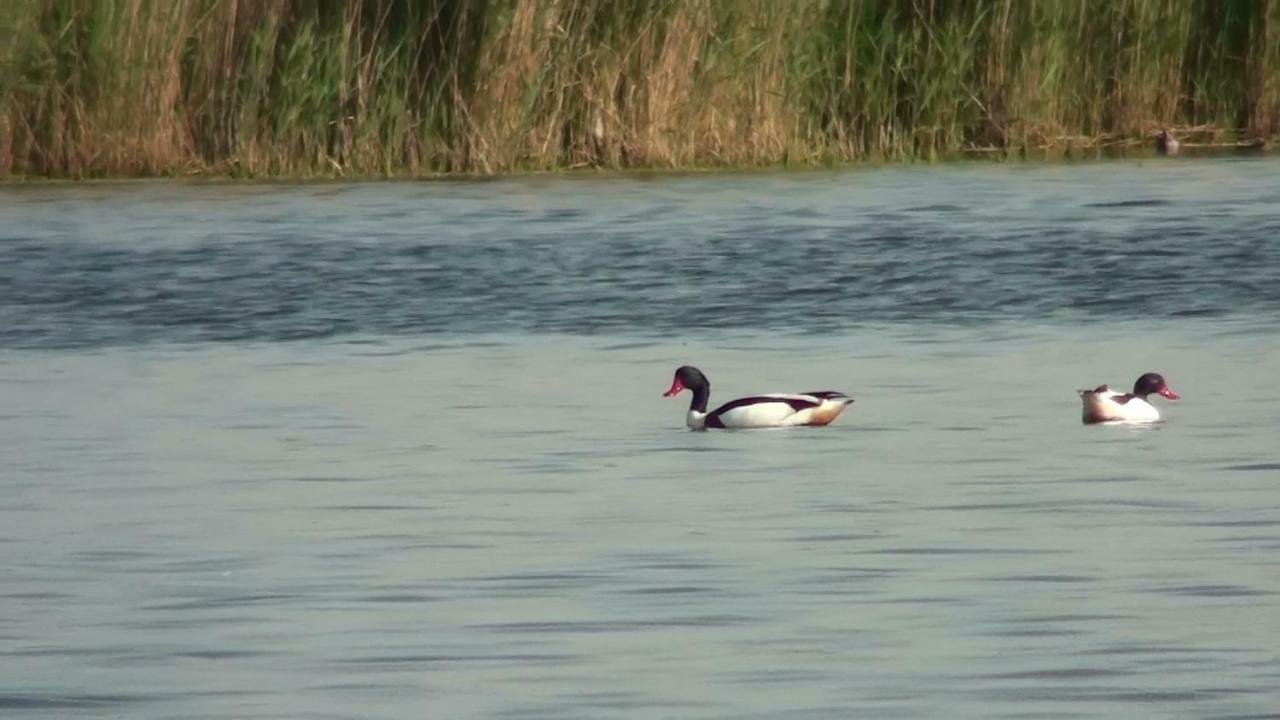 Zacisze Domki Letniskowe Karsibor Świnoujście Εξωτερικό φωτογραφία