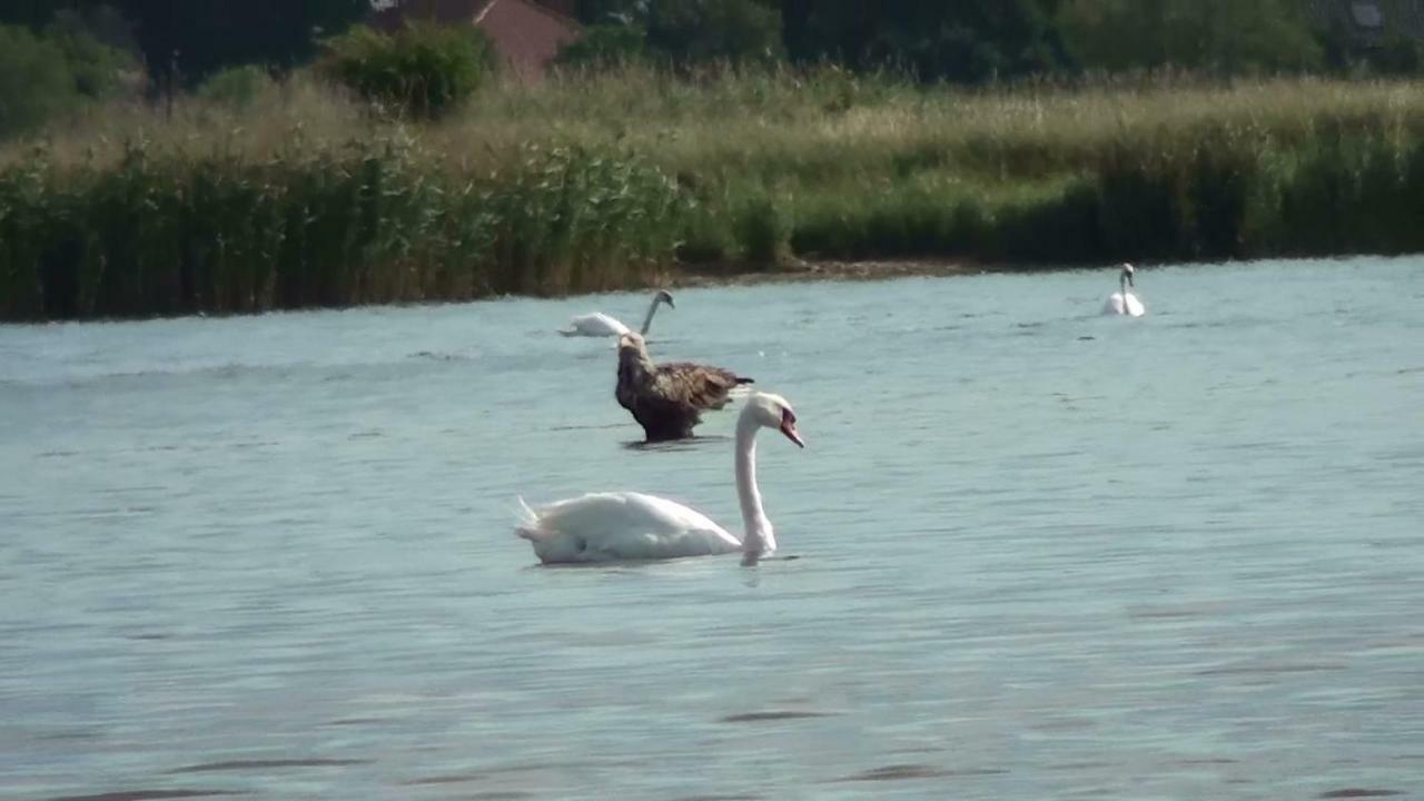 Zacisze Domki Letniskowe Karsibor Świnoujście Εξωτερικό φωτογραφία